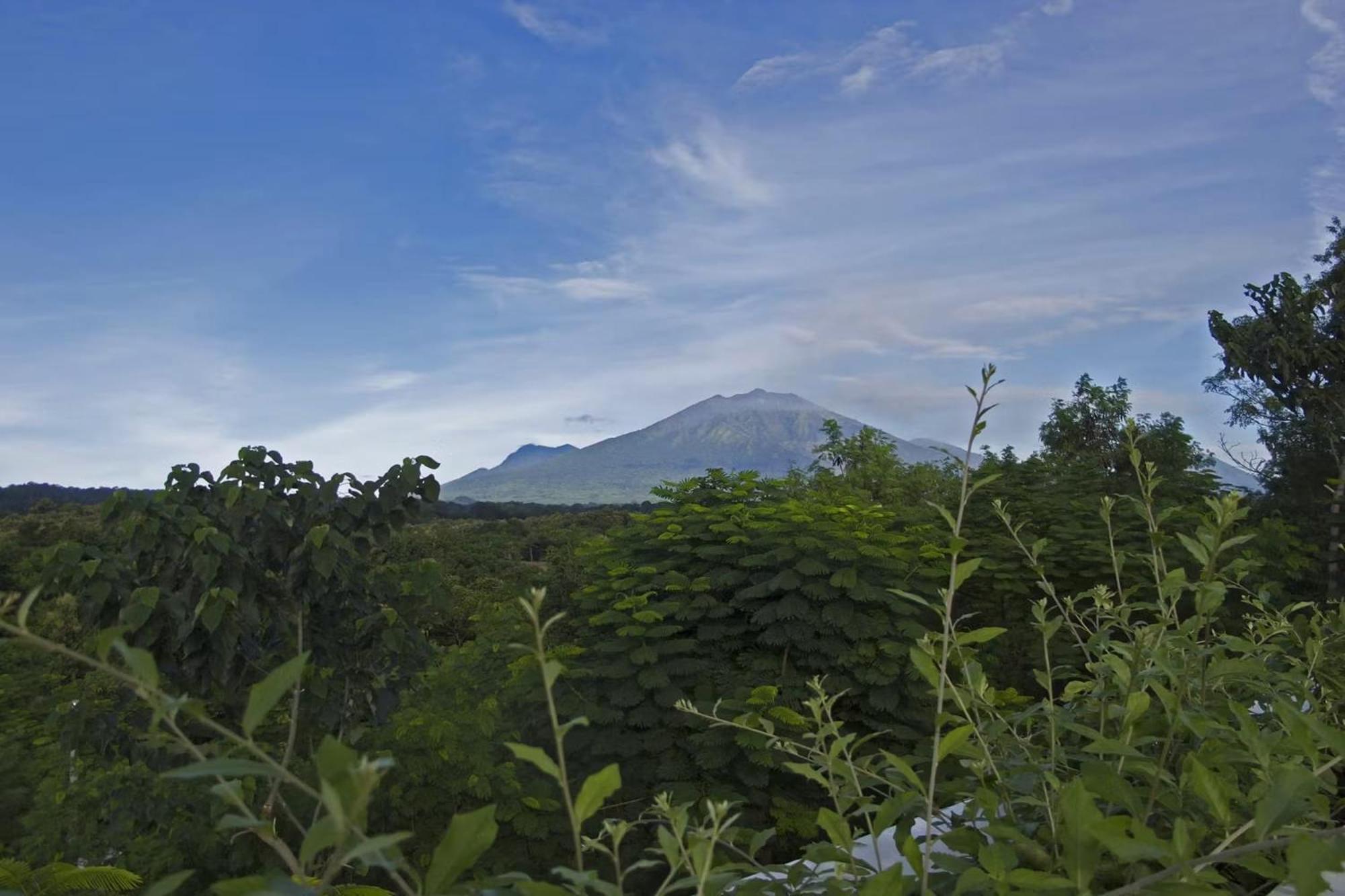 Bangsring Breeze Hotel Banyuwangi  Luaran gambar
